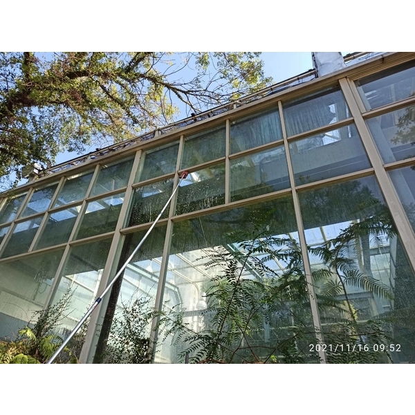 植物園特展室外-玻璃清洗