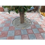 地磚舖設施工 - 梁禾企業有限公司