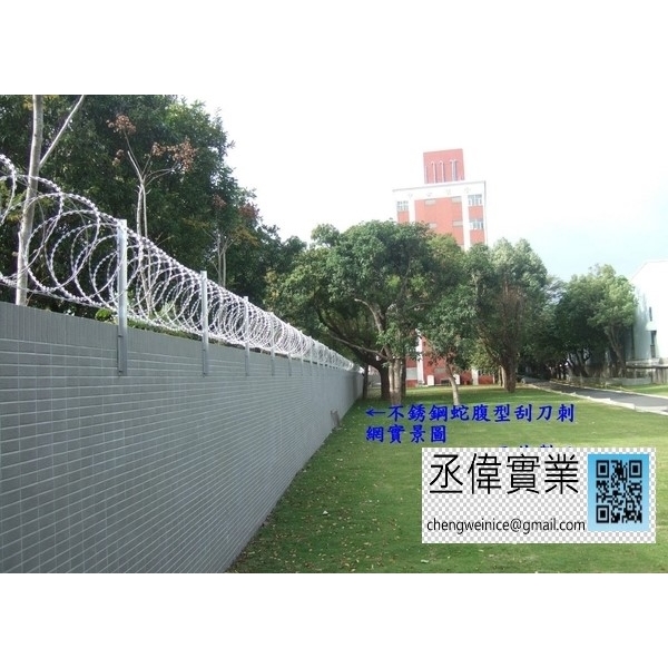 不銹鋼蛇腹型刺網-丞偉實業有限公司
