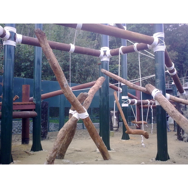 台北市立動物園-非週區黑猩猩展場 台北市立動物園-非週區黑猩猩展場