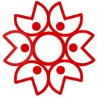 廖張行科技有限公司,雙軌雙軌大門
