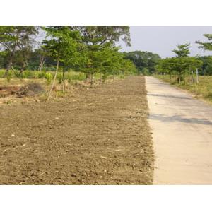 道路施工-金雞湖-友泉工程有限公司