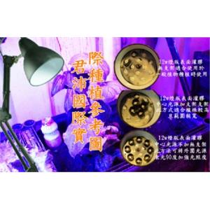 植物生長燈-君沛國際股份有限公司
