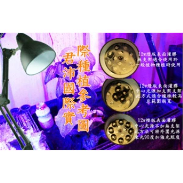植物生長燈