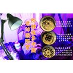 植物生長燈-君沛國際股份有限公司