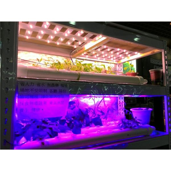 LED植物生長燈-君沛國際股份有限公司