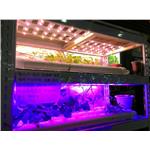LED植物生長燈