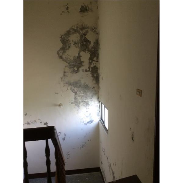 室內壁癌處理 室內壁癌處理
