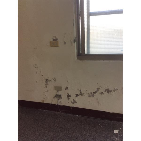 室內壁癌處理 室內壁癌處理
