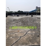 止漏膠可根治接縫漏水