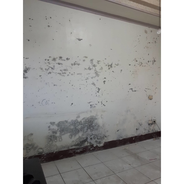 嚴重壁癌處理 嚴重壁癌處理