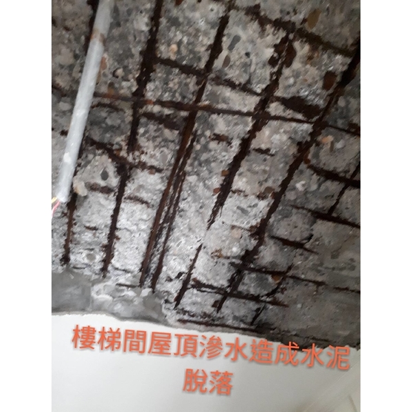 保護樓梯間水泥剝落 保護樓梯間水泥剝落