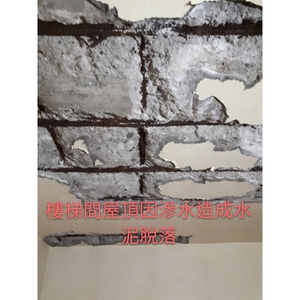 保護樓梯間水泥剝落 保護樓梯間水泥剝落