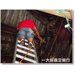 白蟻防治處理-一大除蟲企業行