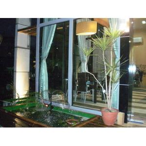 庭園造景-爵仕帝景觀室內設計工程有限公司