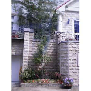 庭園造景-爵仕帝景觀室內設計工程有限公司