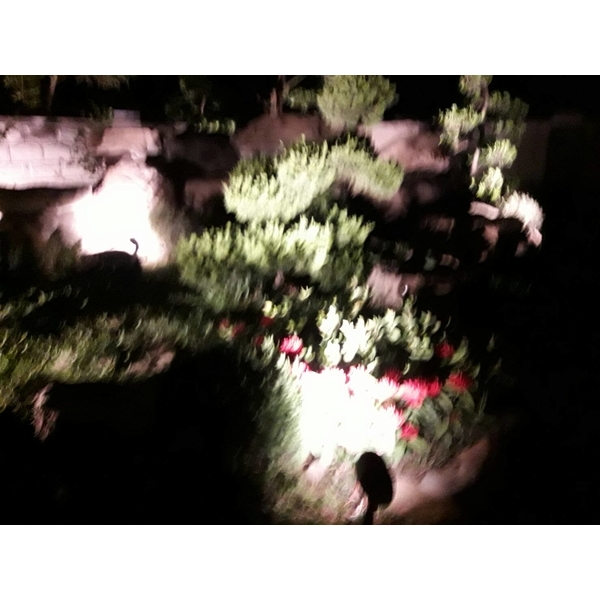 園藝燈飾設計 園藝燈飾設計