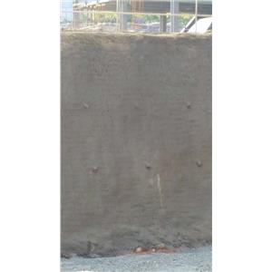 4940-輝瑝有限公司