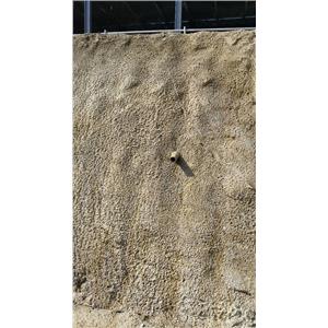 4945-輝瑝有限公司