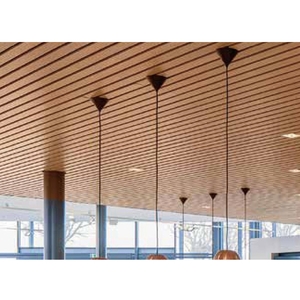 卡麗版天花-宏睿興應用材料有限公司