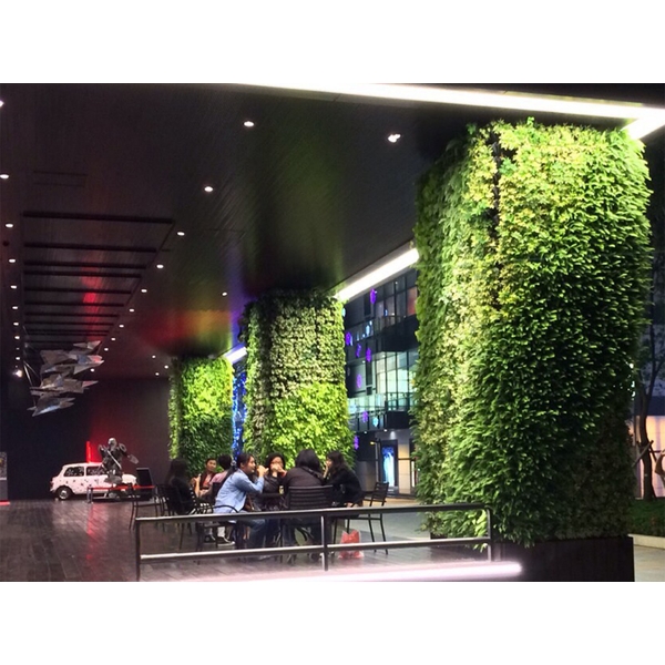 室內綠牆-台南新天地 室內綠牆-台南新天地