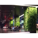 室內綠牆-台南新天地 - 中台綠景股份有限公司