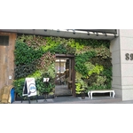 室外綠牆-桃園梳子餐廳 - 中台綠景股份有限公司