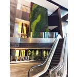 室內綠牆-台北南山大樓 - 中台綠景股份有限公司