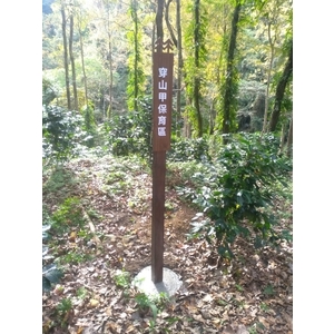 標示牌-宗冠廣告設計社