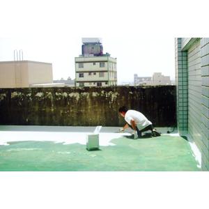 屋頂PU防水工程-一一升企業社