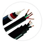 PVC-PVC儀表控制電纜-伸泰國際股份有限公司