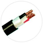 600V PVC絕緣PVC被覆電纜(VV)-伸泰國際股份有限公司