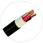 600V XLPE絕緣PVC被覆電力電纜(CV)-伸泰國際股份有限公司