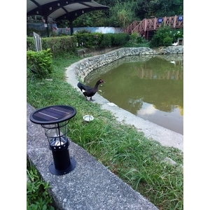 0843 驊灃太陽能燈 02-24330688 此款型號：AG-880026太陽能景觀燈（高度38公分） (3)-驊灃企業有限公司