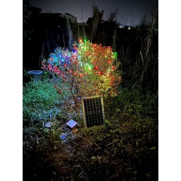 太陽能LED聖誕燈-驊灃企業有限公司