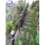 太陽能LED景觀燈