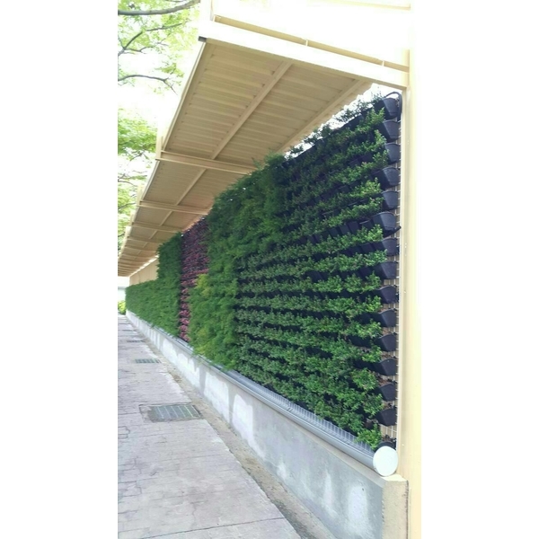 植栽-造籬有限公司