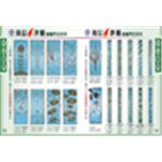 鍛造門-錫哥五金有限公司