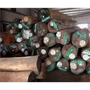 原木-永順木材行