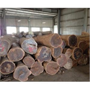 原木-永順木材行