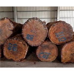 原木-永順木材行