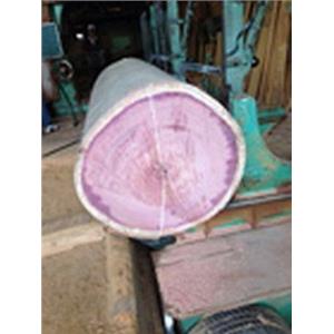 原木-永順木材行