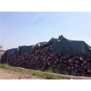 原木-永順木材行