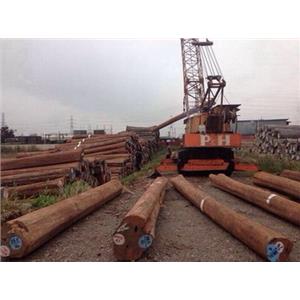 原木-永順木材行