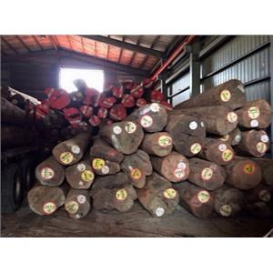 原木-永順木材行