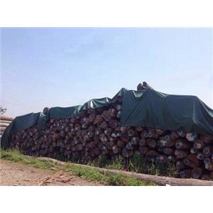 原木-永順木材行