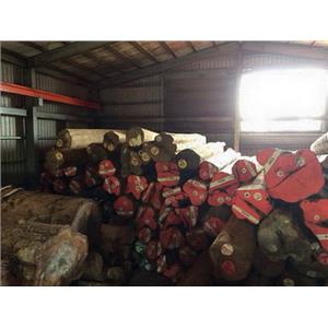 原木-永順木材行