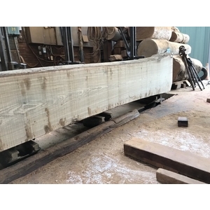 原木-永順木材行