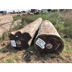 原木-永順木材行