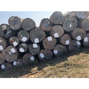 原木-永順木材行